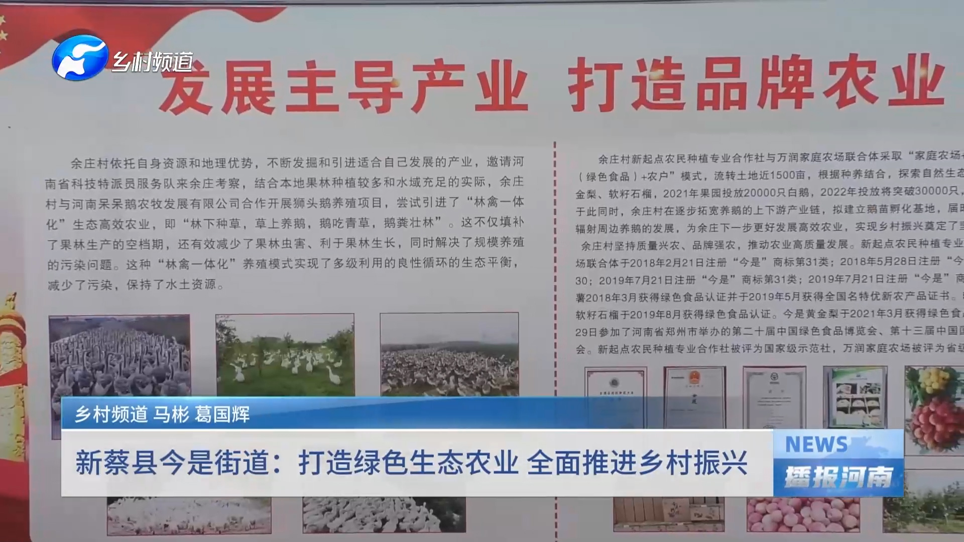新蔡县今是街道：打造绿色生态农业 全面推进乡村振兴