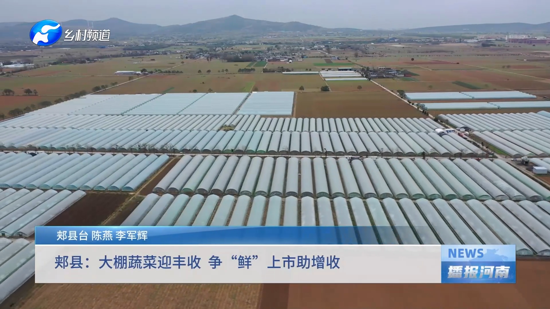 郏县：大棚蔬菜迎丰收  争“鲜”上市助增收