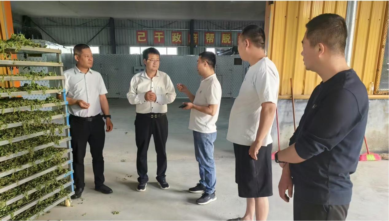 汝南县东官庄镇：组织人大代表视察中草药产业情况