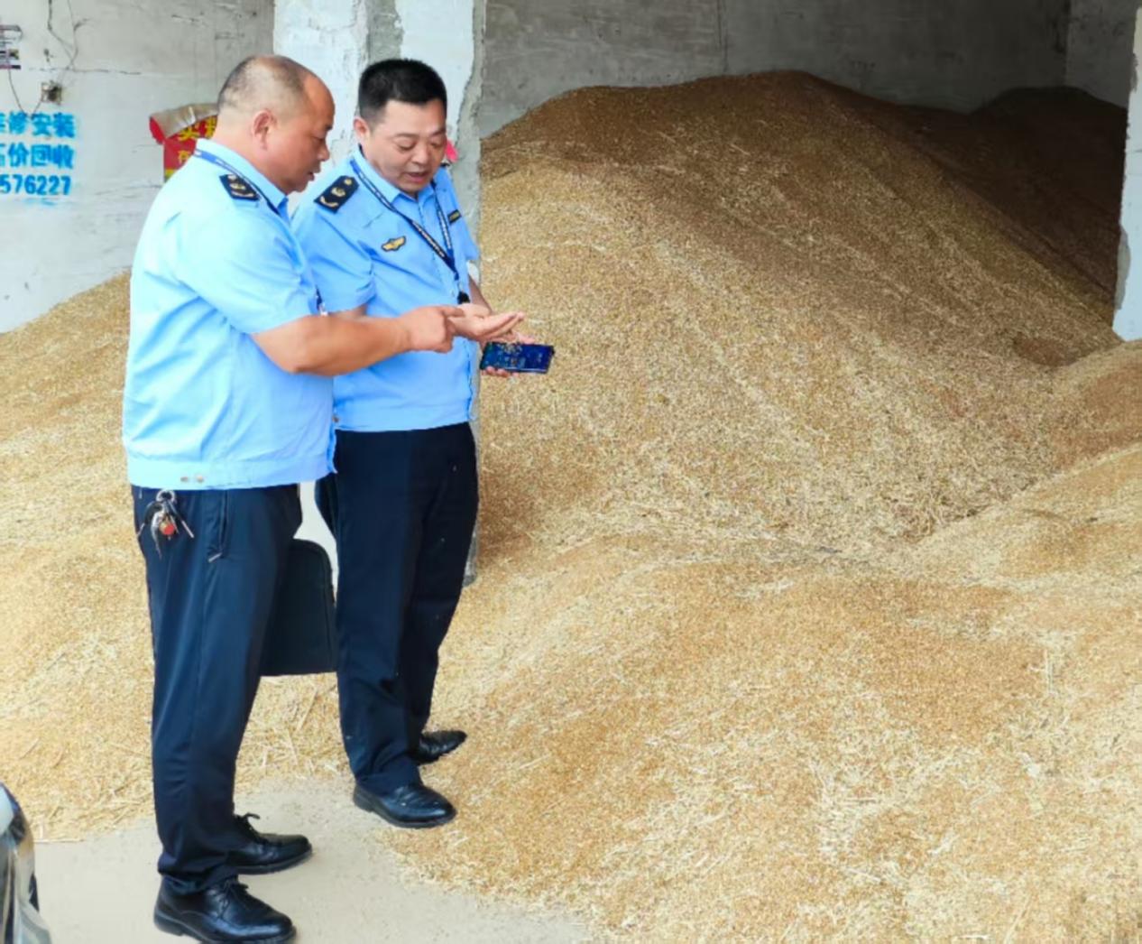 汝南县市场监管局：加强夏粮收购市场监管 维护粮食收购秩序
