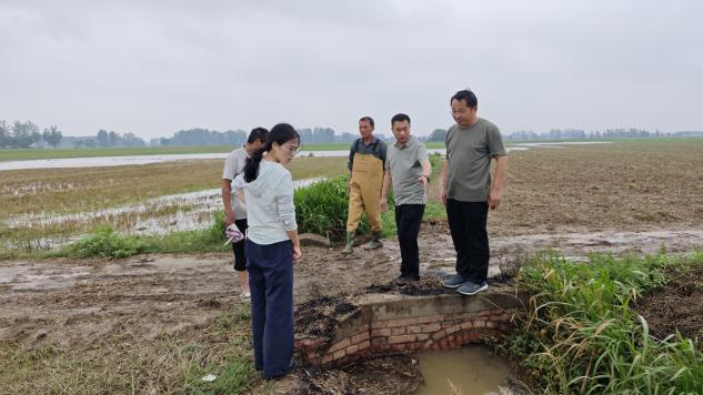 汝南县：排积水护农忙 东官庄镇书写为民答卷