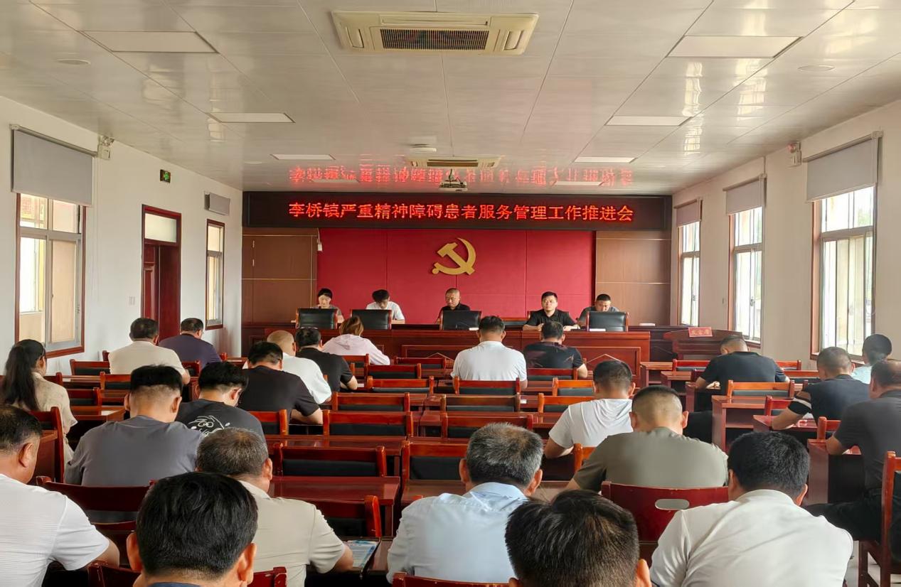 新蔡县李桥回族镇严重精神障碍患者服务管理工作推进会