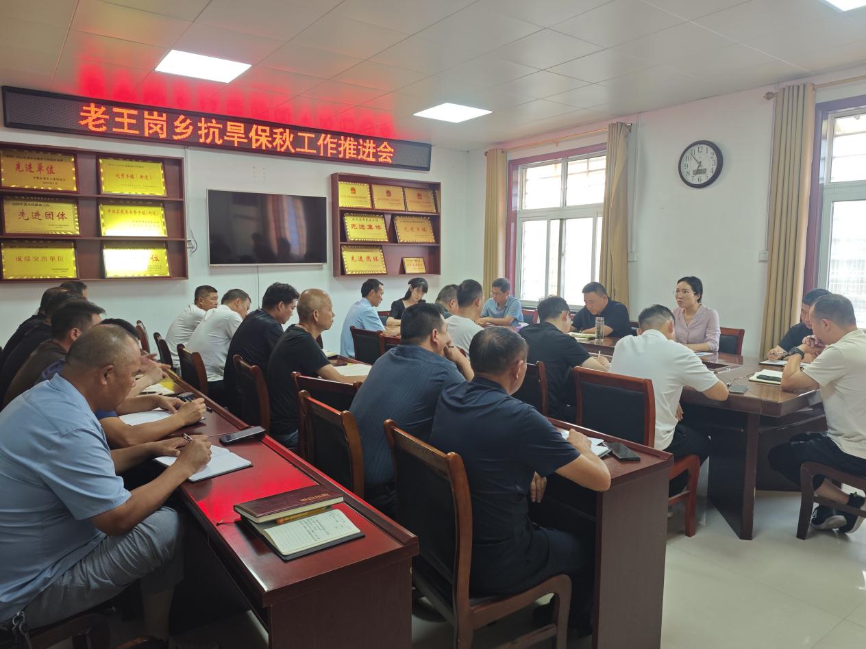 平舆县老王岗乡：多措并举抗旱保秋 全力守护粮食安全