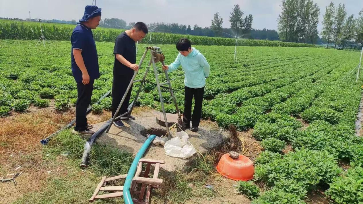 新蔡县弥陀寺乡：多措并举聚合力 抗旱保秋护民生